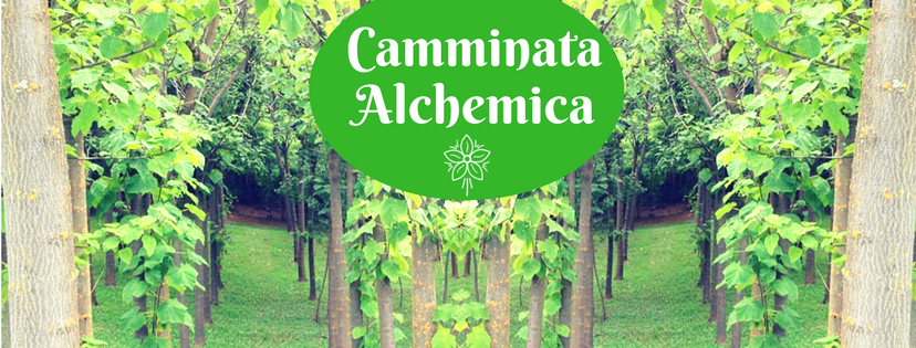 camminata alchemica natura