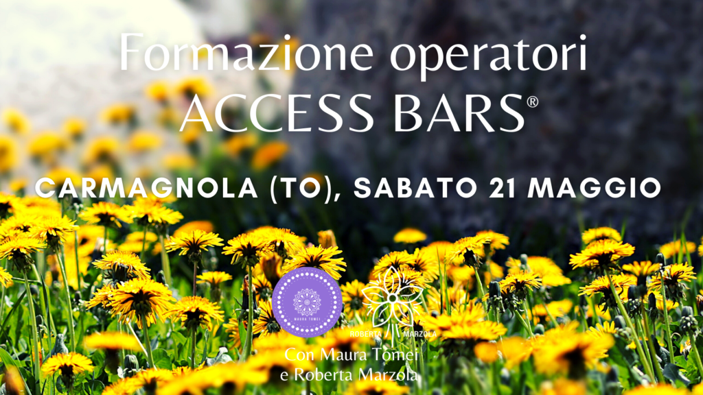 access bars carmagnola