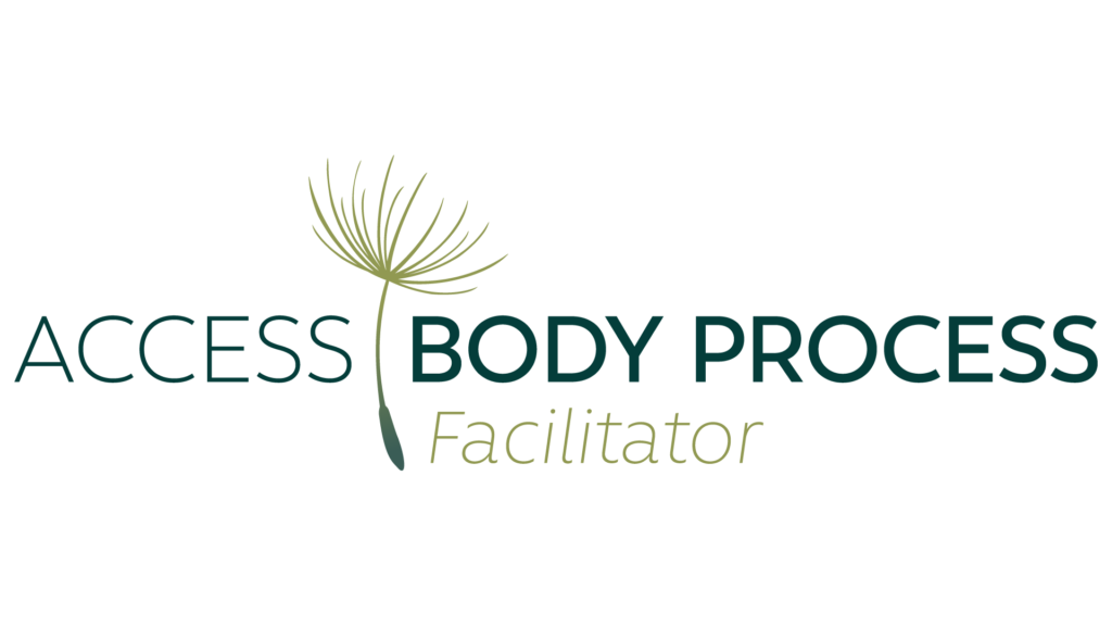 facilitatore access bodyprocess treviso